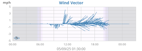 Wind Vector