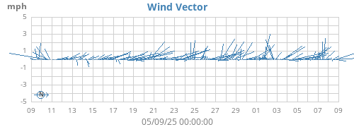 Wind Vector